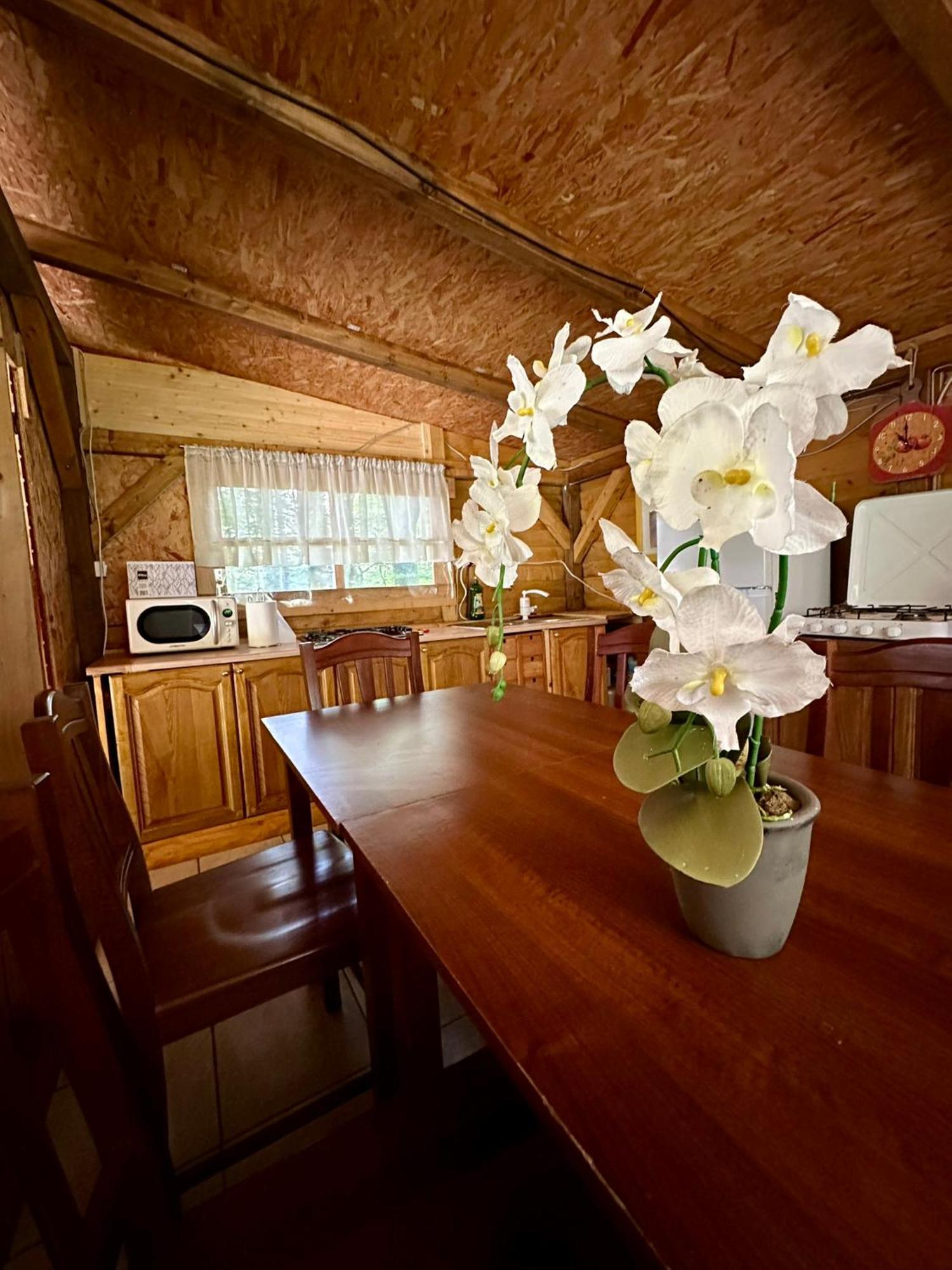 Glamping Krn Hotel โคบาริด ภายนอก รูปภาพ